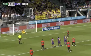 Samenvatting NEC - NAC 3-0