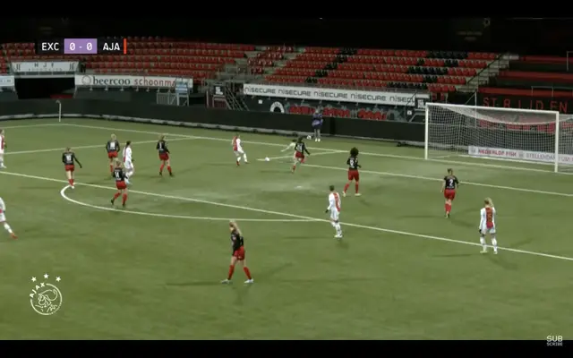 Samenvatting Excelsior - Ajax (v)